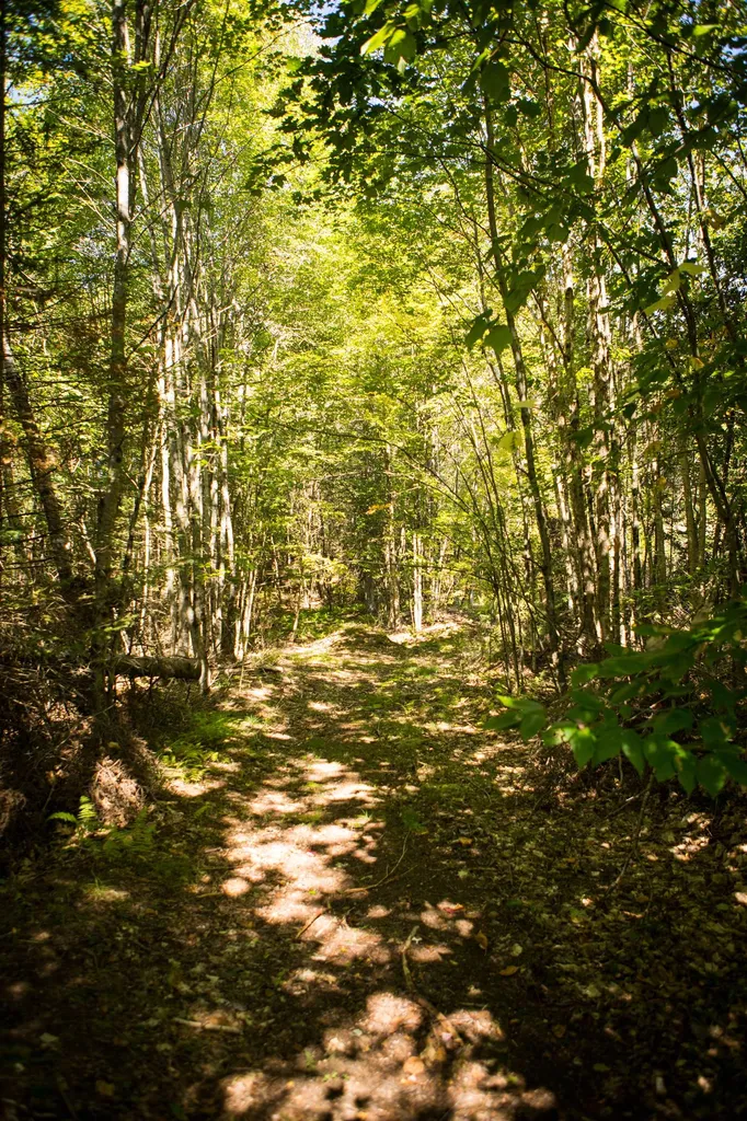 00 Buck Ridge Road Lisbon NH 03585