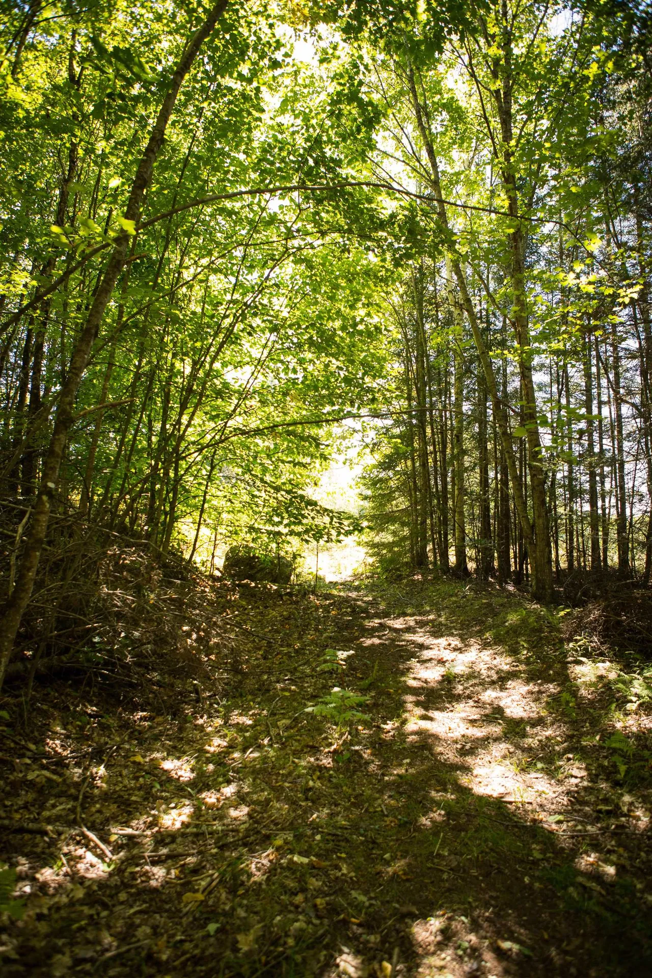 00 Buck Ridge Road Lisbon NH 03585