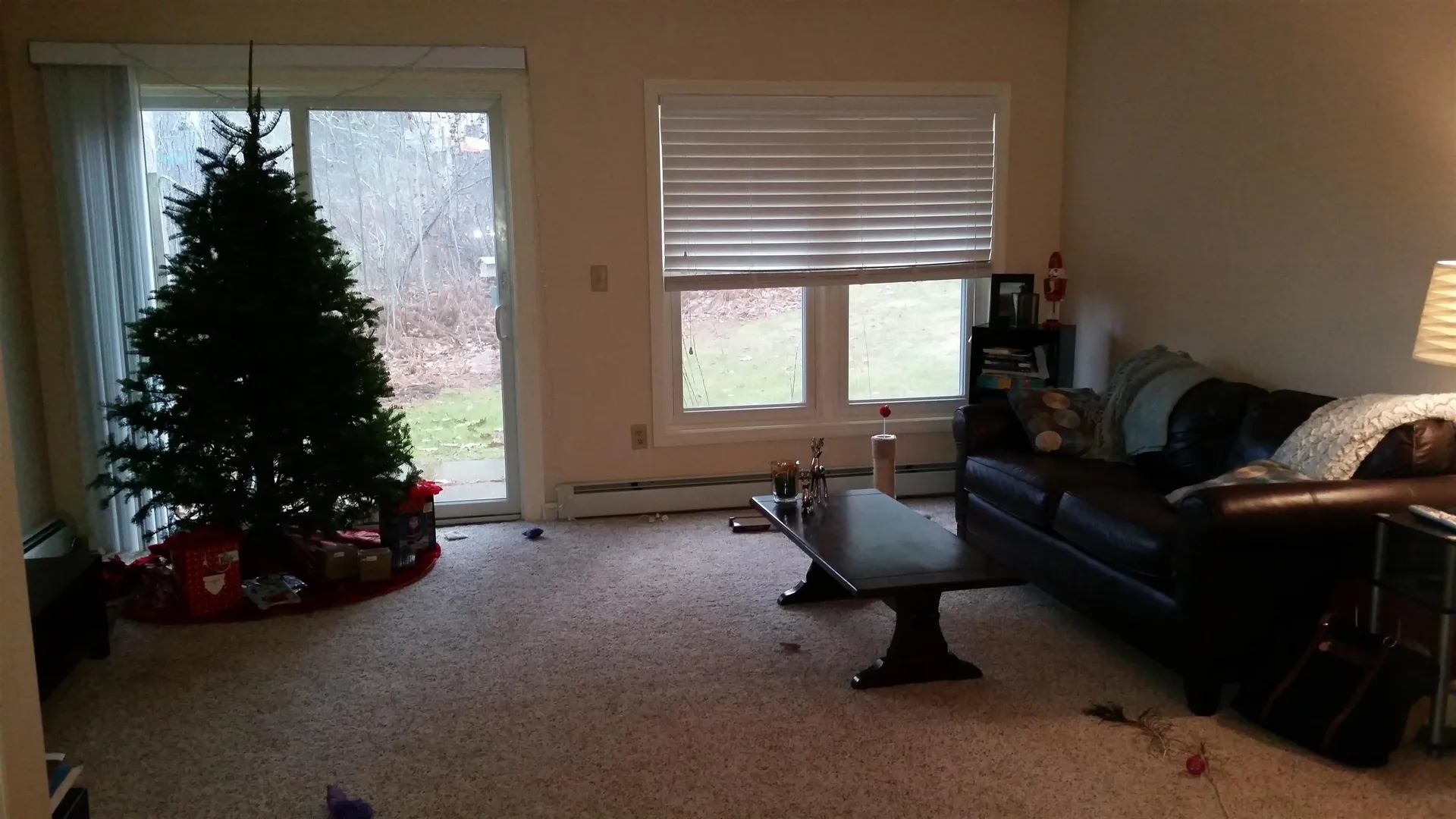 4 Turner Place Enfield NH 03748
