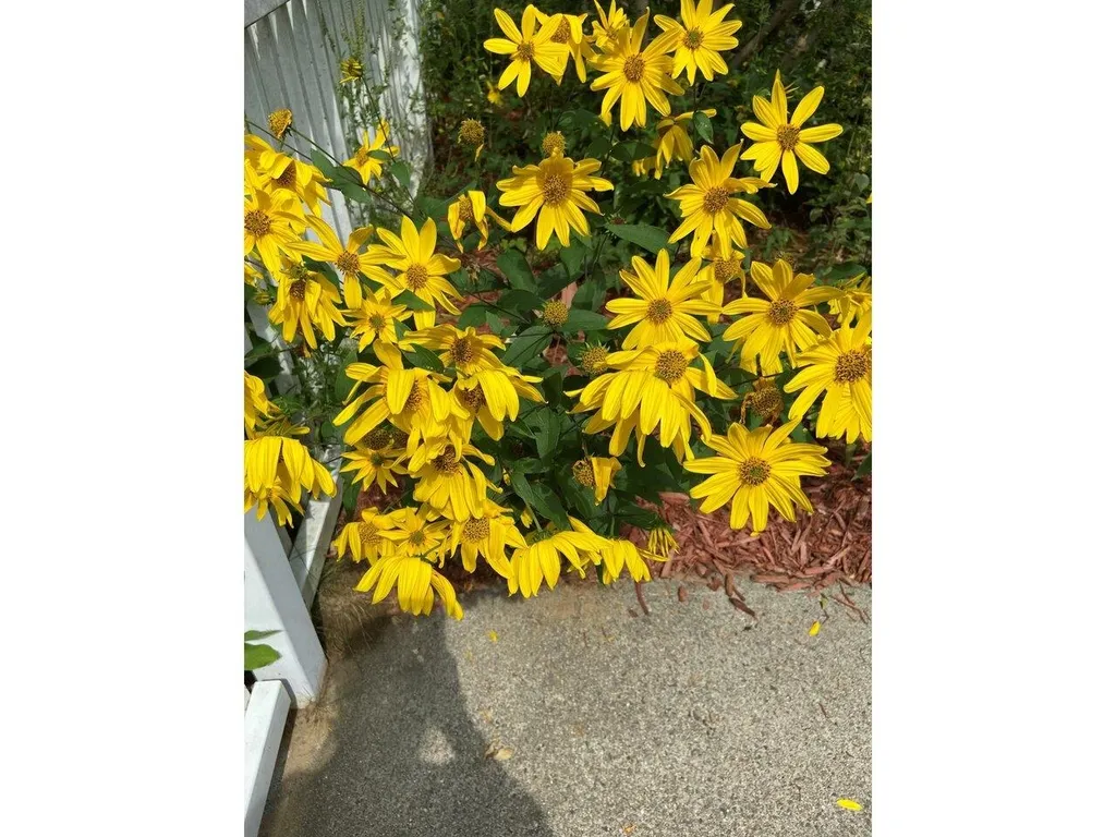 23 Red Clover Way Milton VT 05468