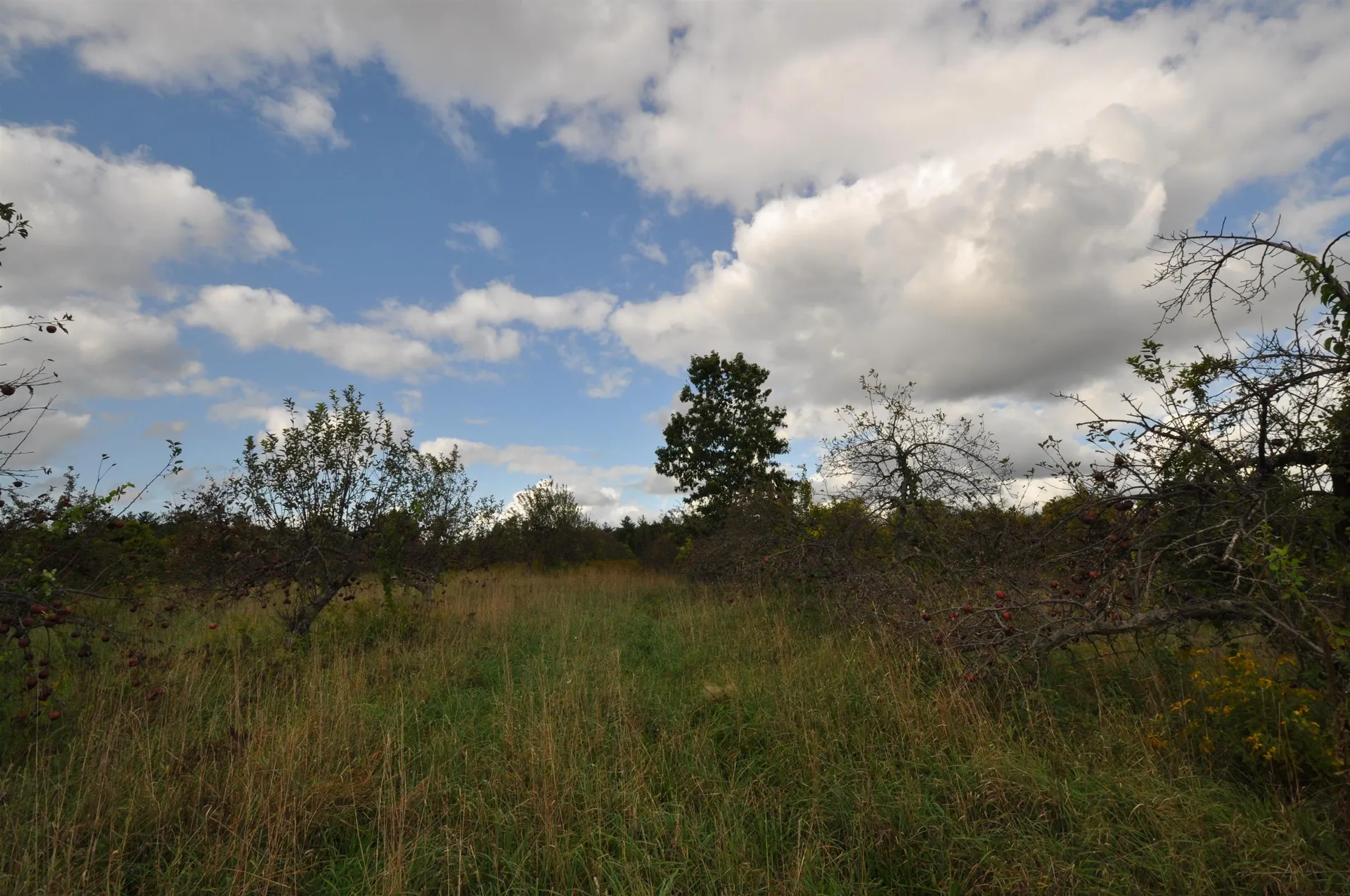 Lot 4-5,6,7,8 Woodmont Drive Hollis NH 03049