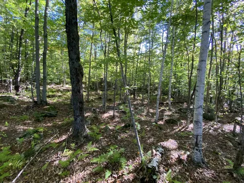 Auger Hole Road Barton VT 05822