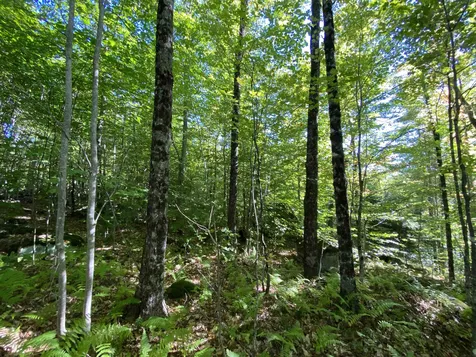 Auger Hole Road Barton VT 05822