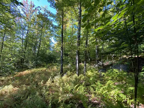 Auger Hole Road Barton VT 05822