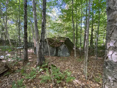 Auger Hole Road Barton VT 05822