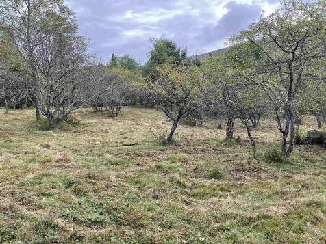 636 Old County Road North Waterford VT 05819