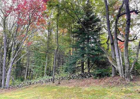 636 Old County Road North Waterford VT 05819