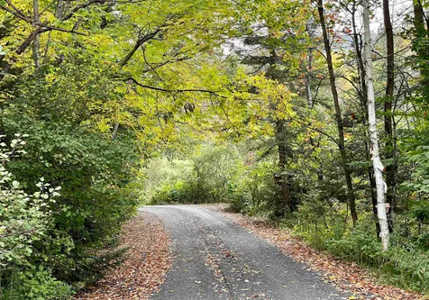 636 Old County Road North Waterford VT 05819