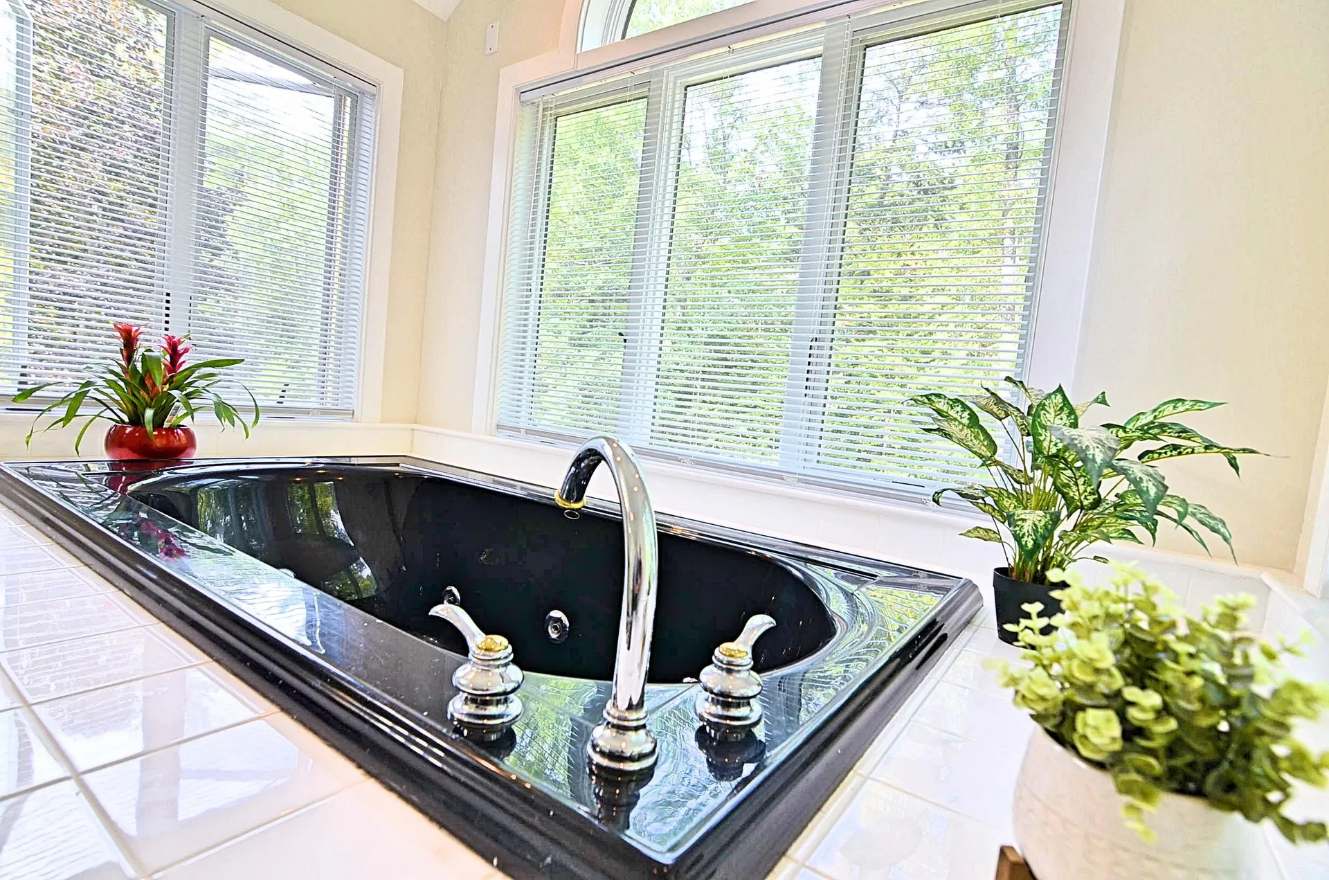 181 Plains Road Andover NH 03216