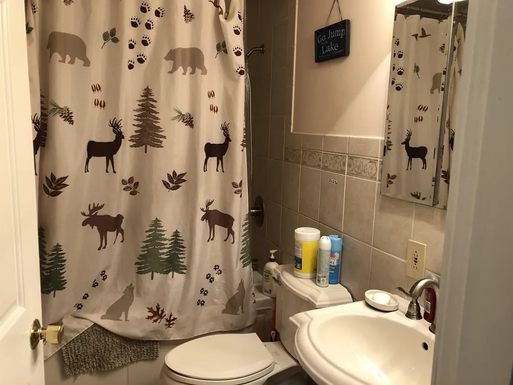 6 Neal Shore Road Meredith NH 03253