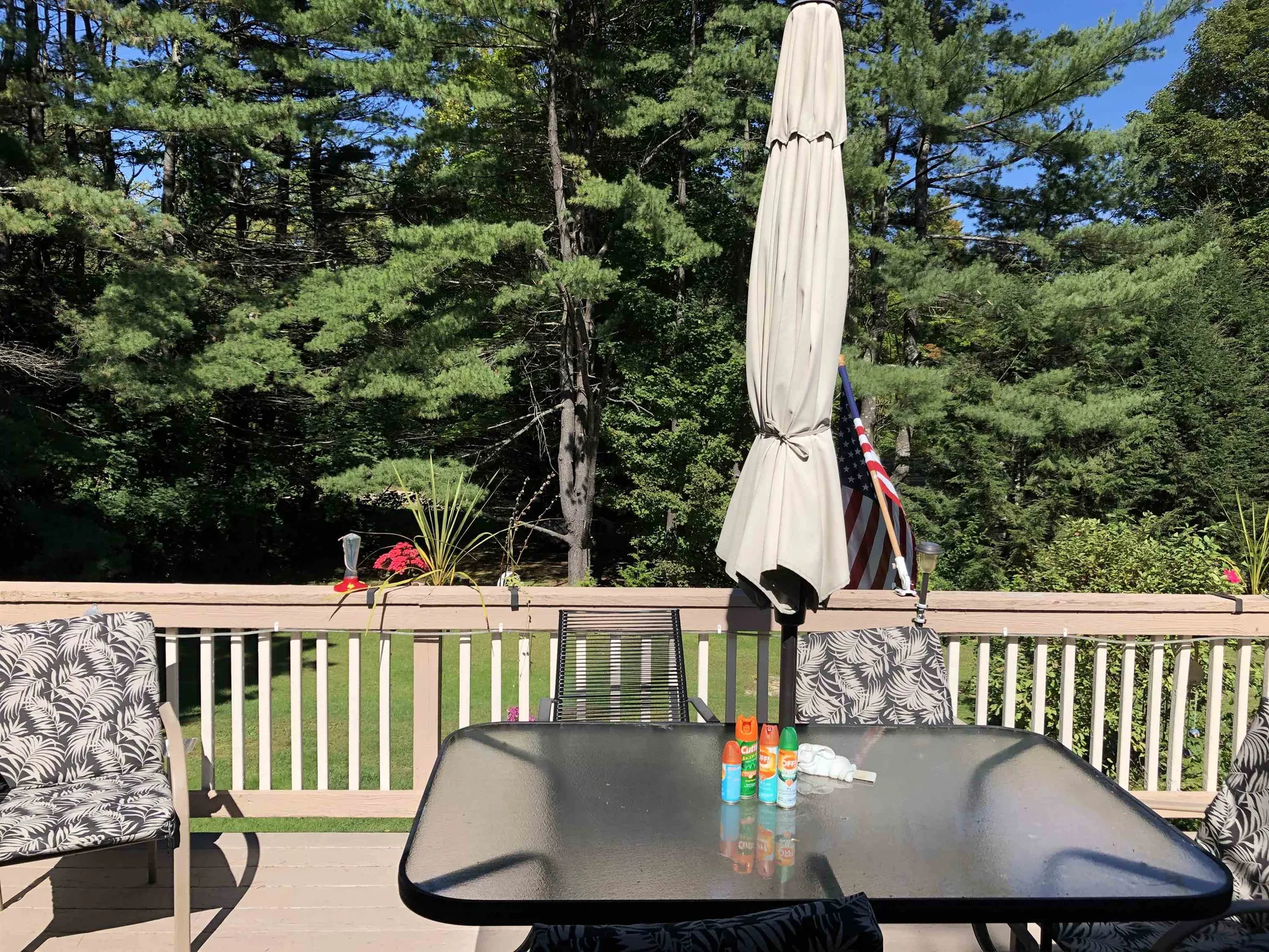 6 Neal Shore Road Meredith NH 03253