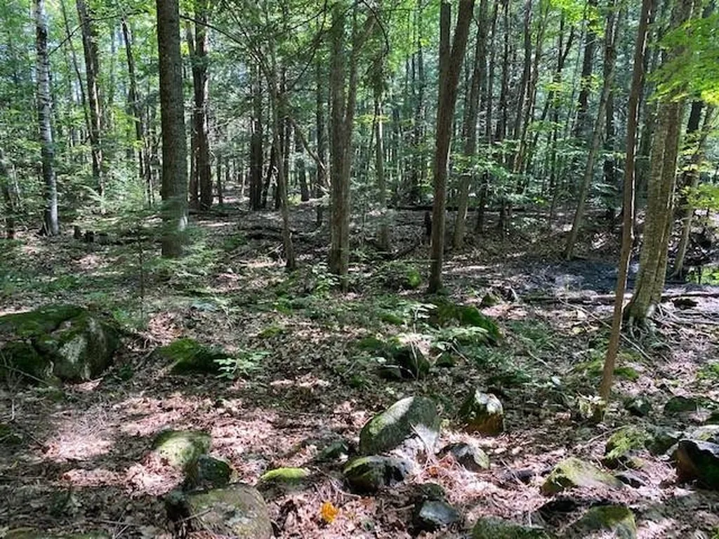 190 Pine Hill Road Weare NH 03281