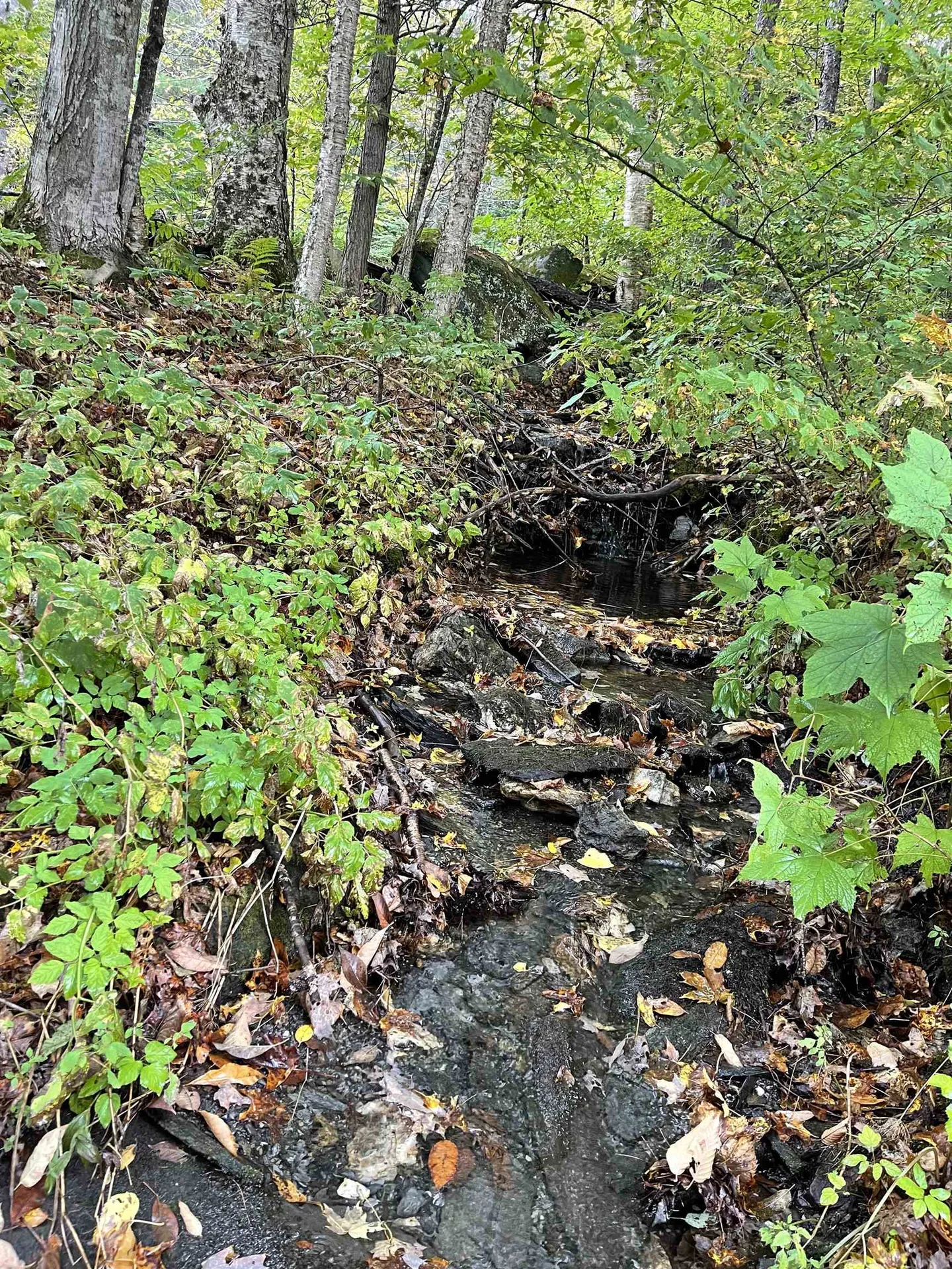 0 Davis Road Barnard VT 05031