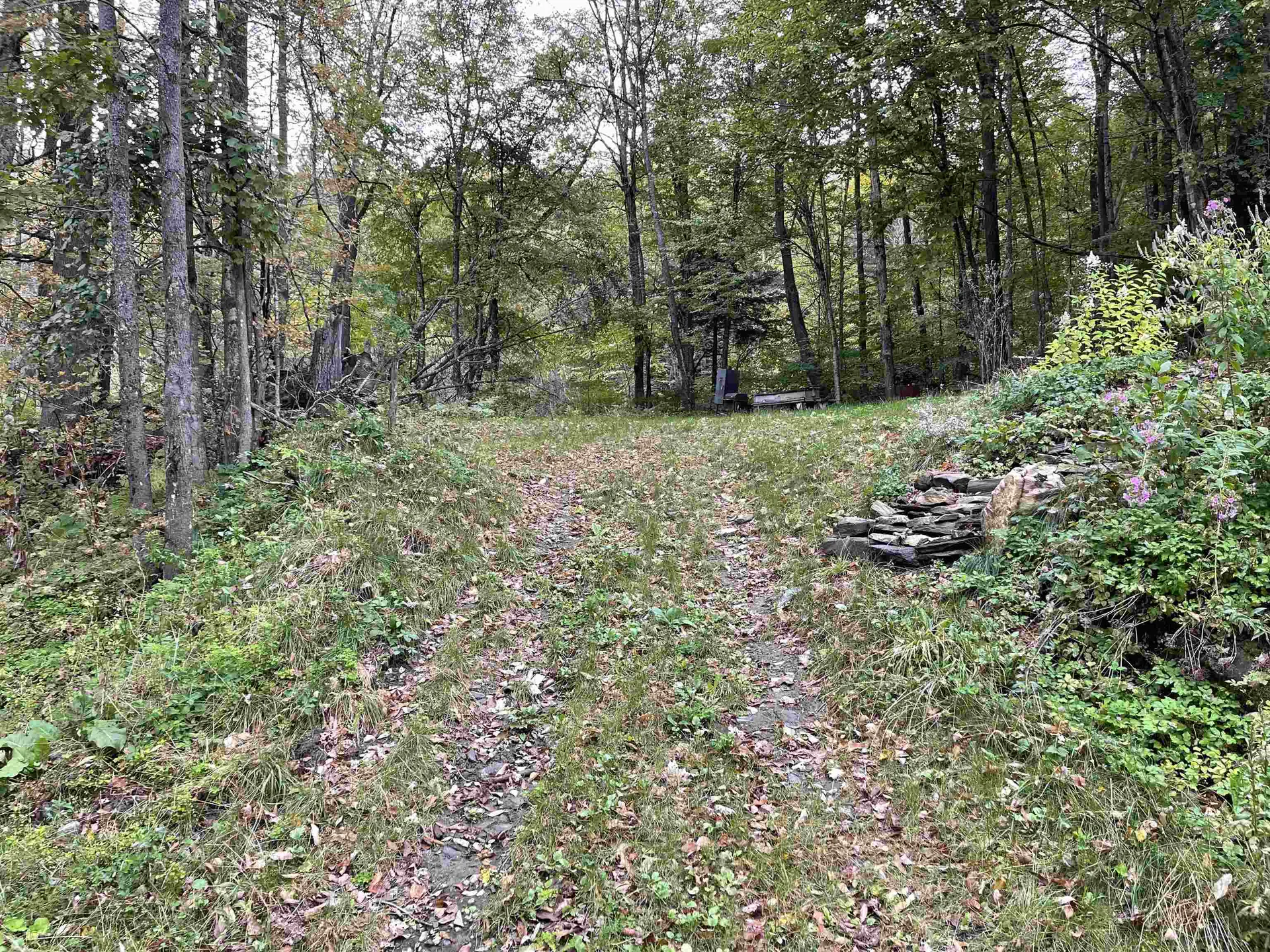 0 Davis Road Barnard VT 05031