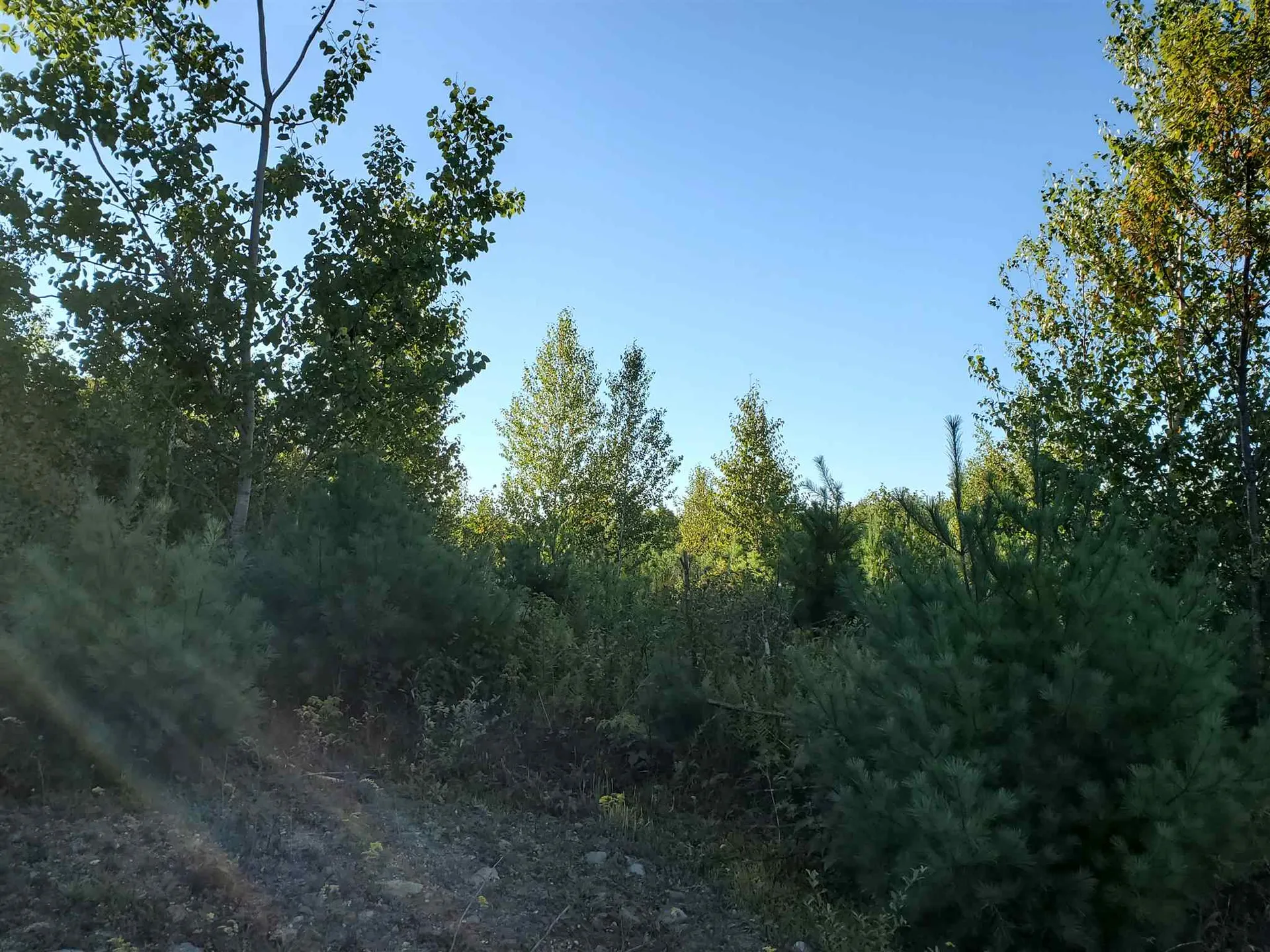 Lot 5 Mallard Drive Canaan NH 03741