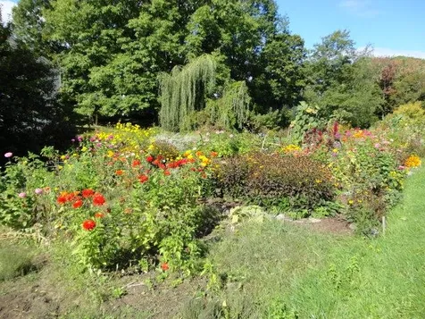 50 Twin Oaks Terrace South Burlington VT 05403