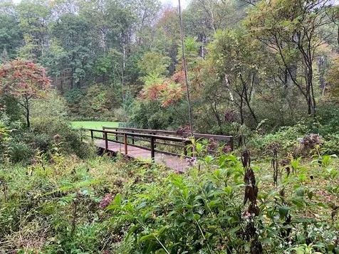 3000 Hartsboro Road Wallingford VT 05773