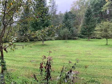 3000 Hartsboro Road Wallingford VT 05773