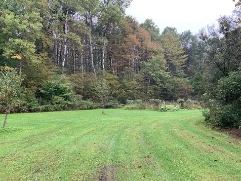 3000 Hartsboro Road Wallingford VT 05773