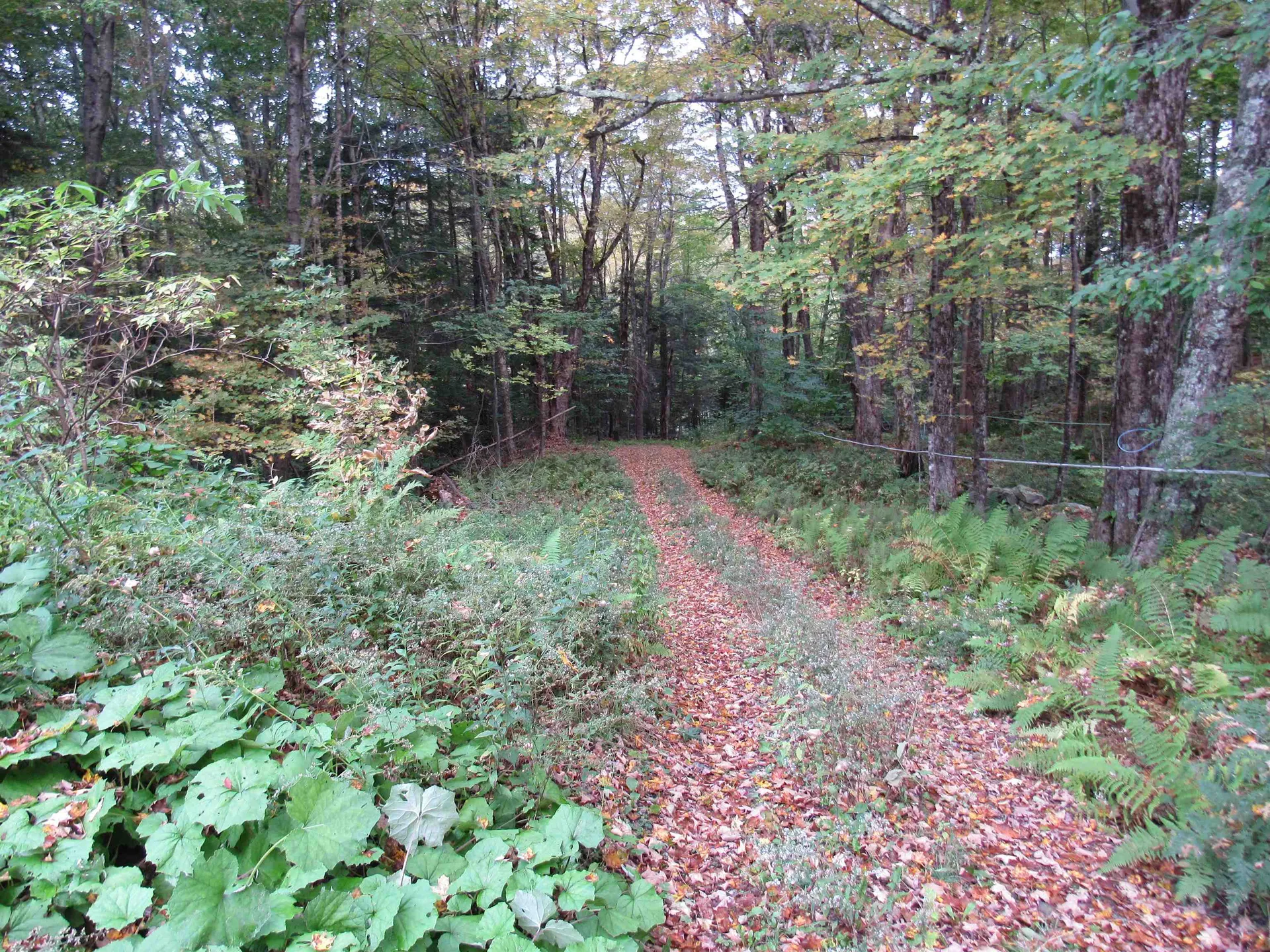 1912 Wilmington Cross Road Whitingham VT 05361