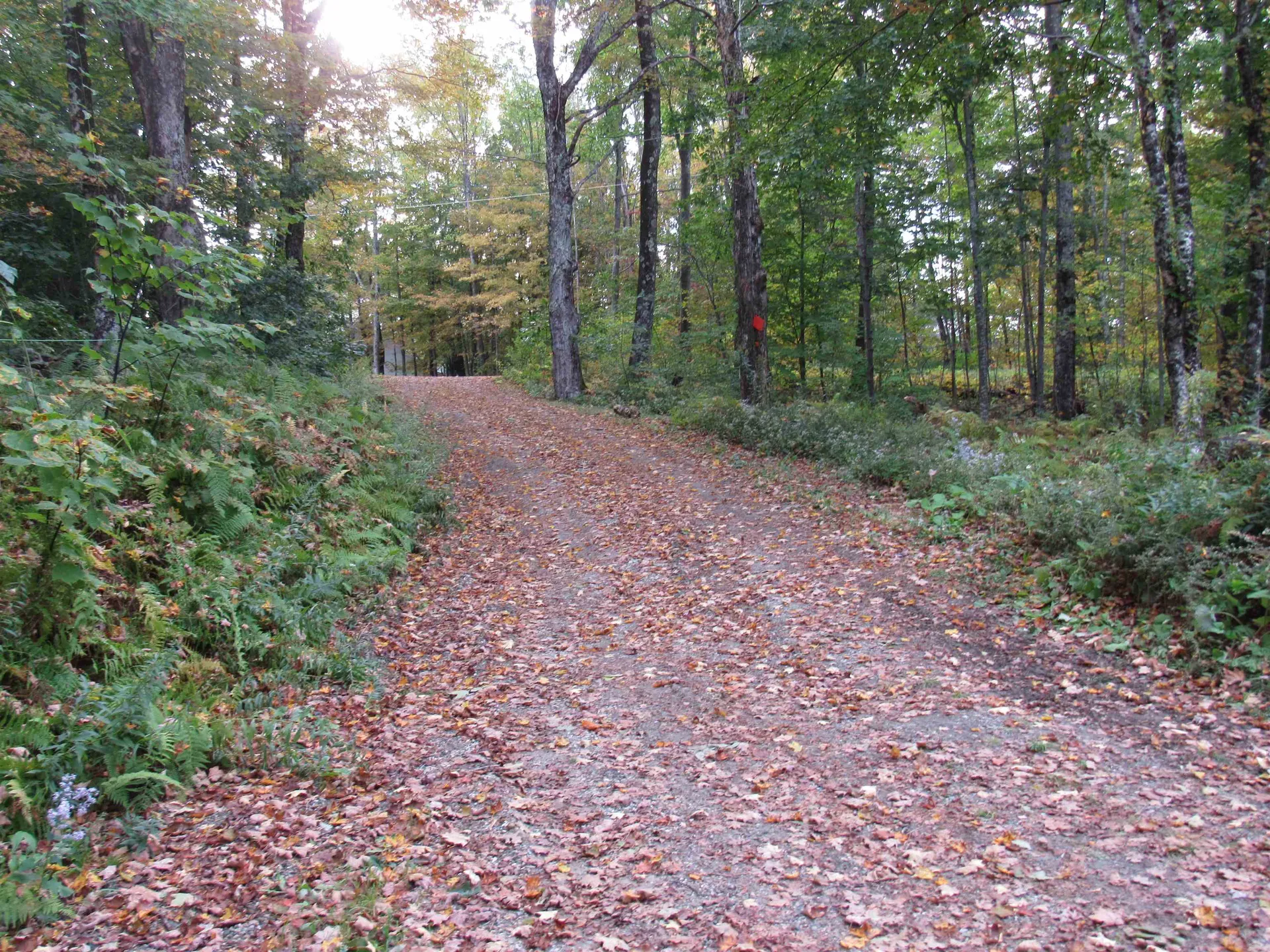 1912 Wilmington Cross Road Whitingham VT 05361