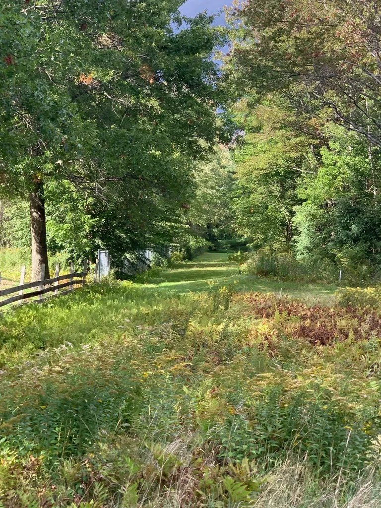 104 Center Road Essex VT 05452