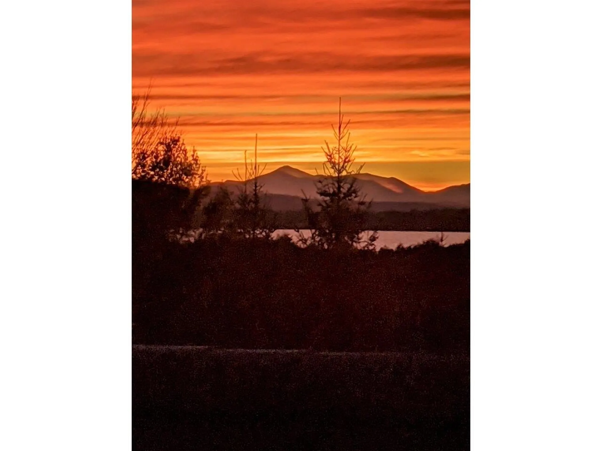 1270 Marble Island Road Colchester VT 05446