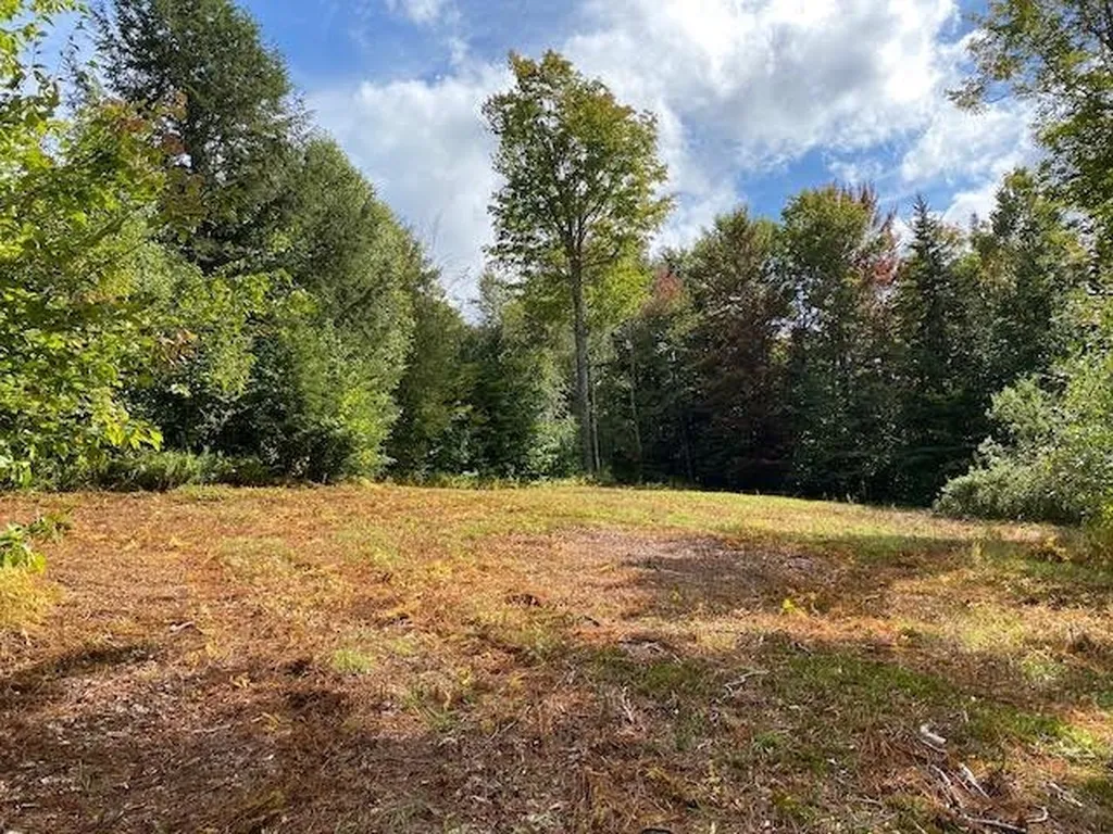 1080 Prickly Mountain Road Warren VT 05674