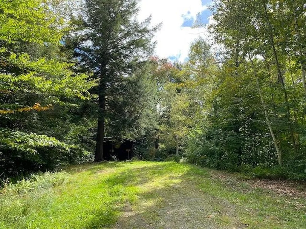 1080 Prickly Mountain Road Warren VT 05674