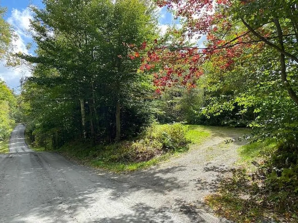 1080 Prickly Mountain Road Warren VT 05674