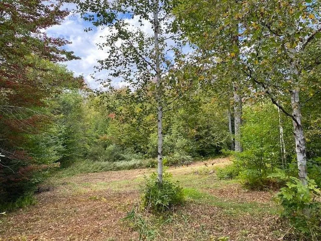 1080 Prickly Mountain Road Warren VT 05674