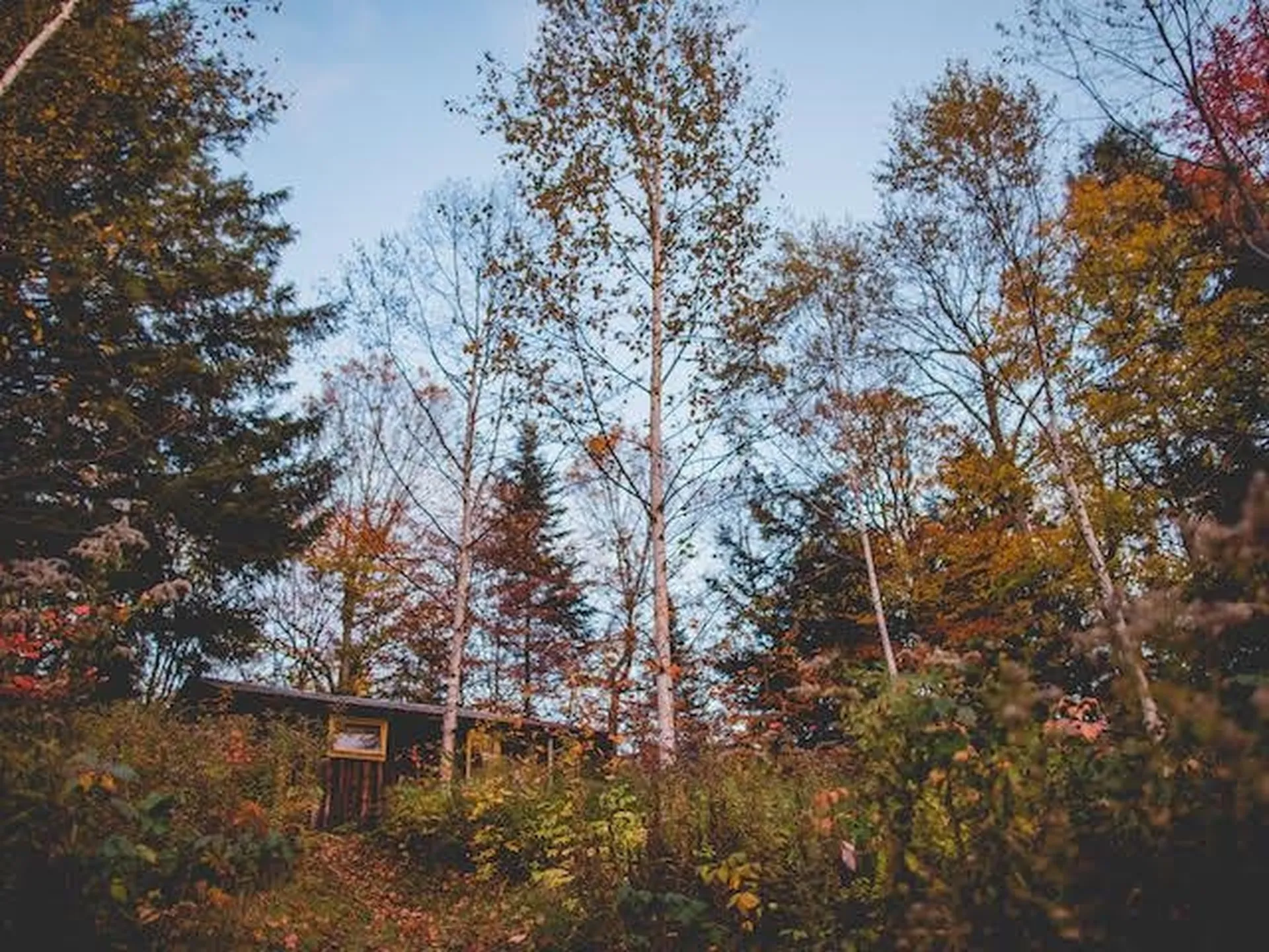 1080 Prickly Mountain Road Warren VT 05674