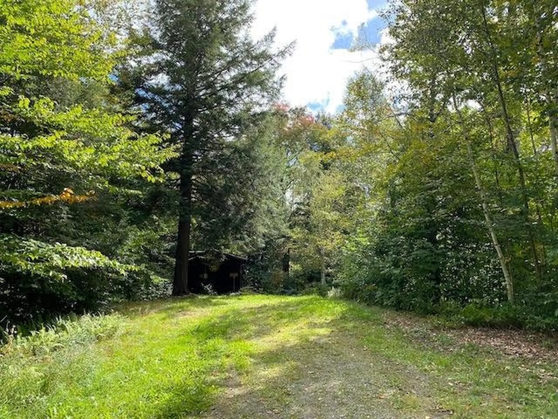 1080 Prickly Mountain Road Warren VT 05674