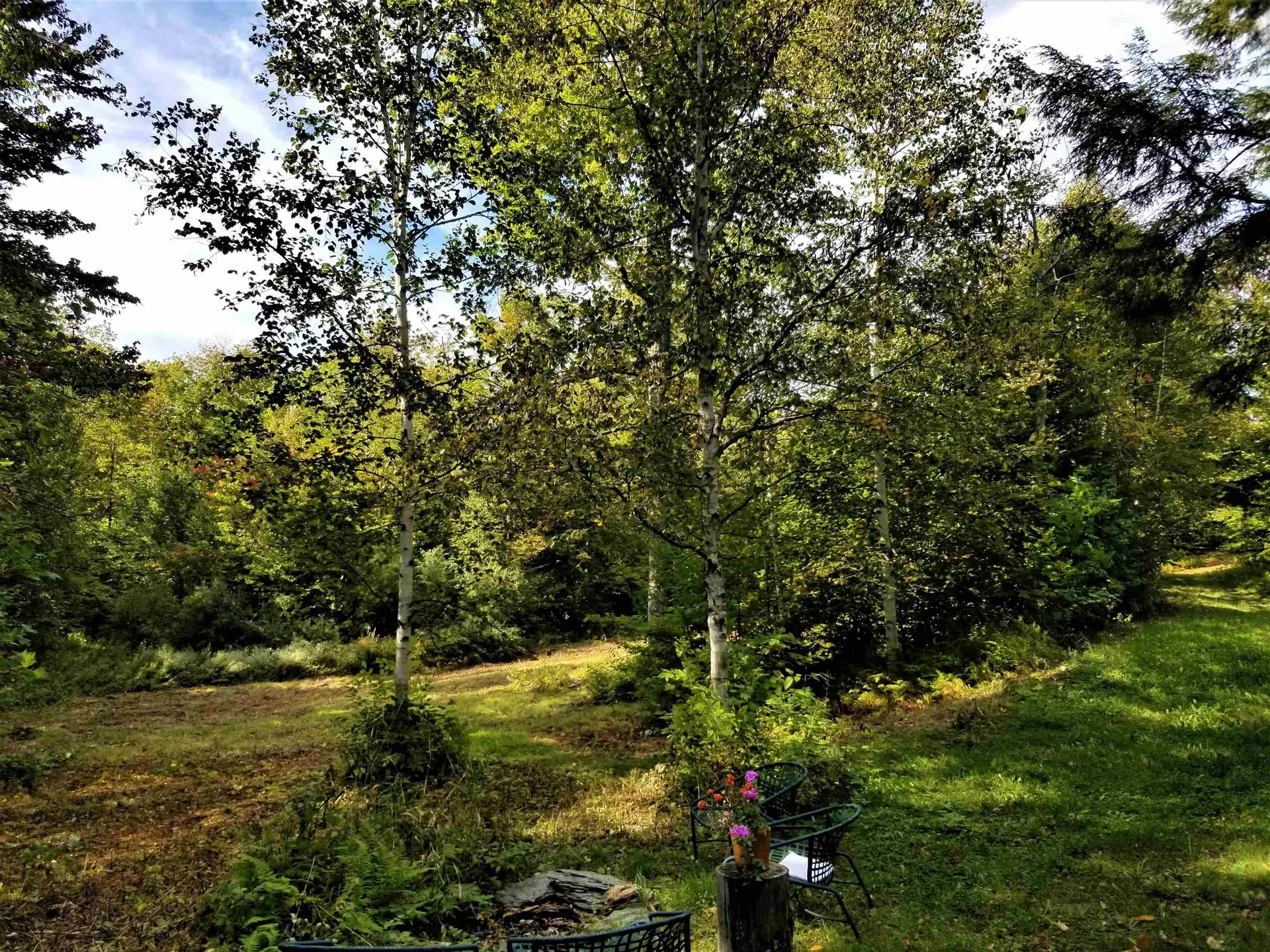 1080 Prickly Mountain Road Warren VT 05674