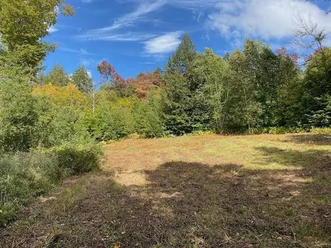 1080 Prickly Mountain Road Warren VT 05674
