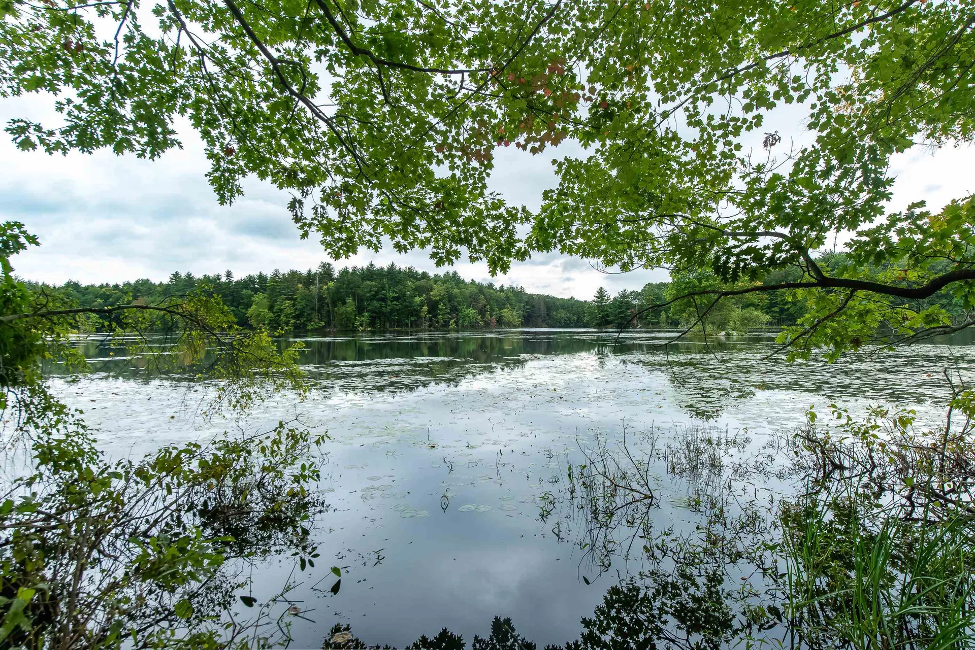 11 Fern Way Madbury NH 03823