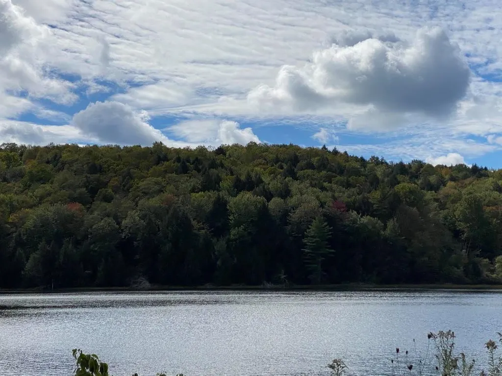 Th 1 Roach Pond Road Hubbardton VT 05735
