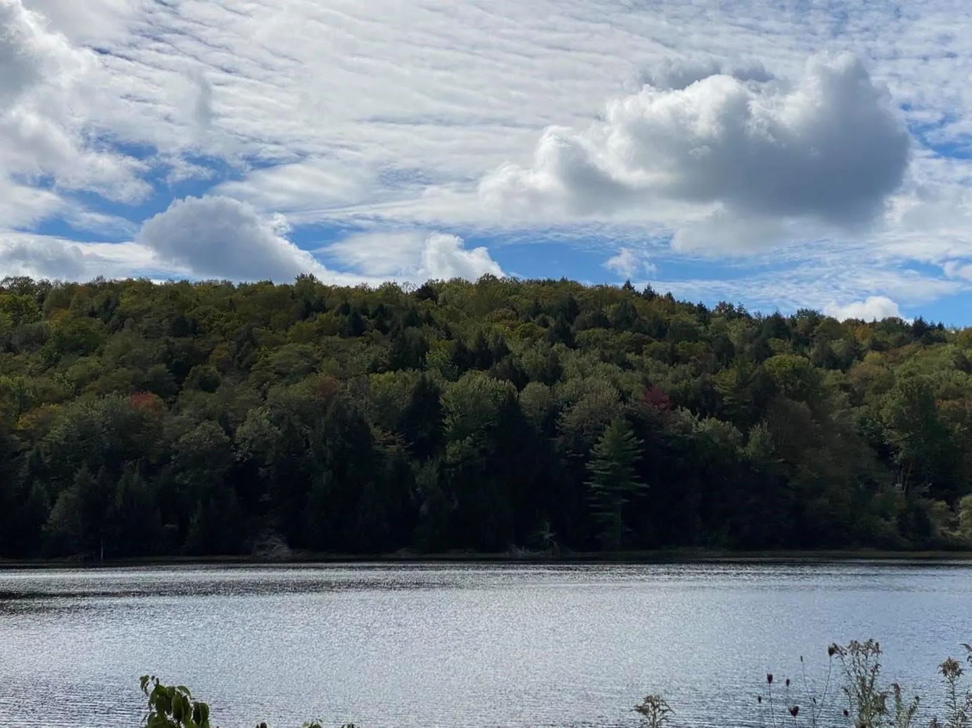 Th 1 Roach Pond Road Hubbardton VT 05735