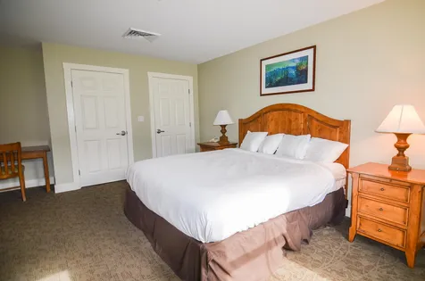 827/829 Q4 Jackson Gore Adams House Ludlow VT 05149