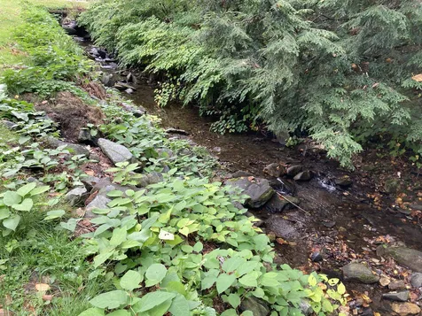 448 Bunker Hill Road Pomfret VT 05053