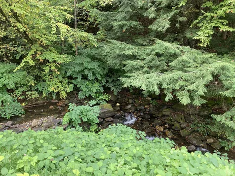 448 Bunker Hill Road Pomfret VT 05053