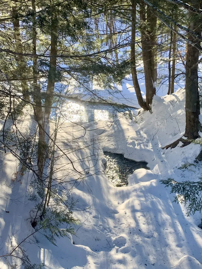 105 Sugarbush Access Road Warren VT 05674