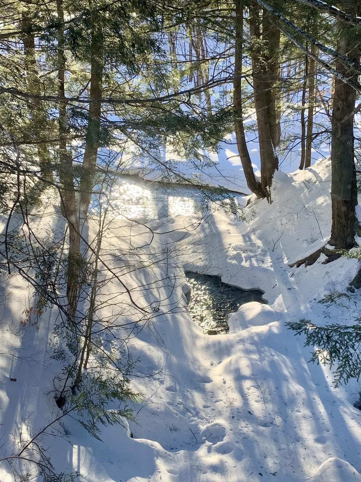 105 Sugarbush Access Road Warren VT 05674