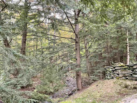 105 Sugarbush Access Road Warren VT 05674