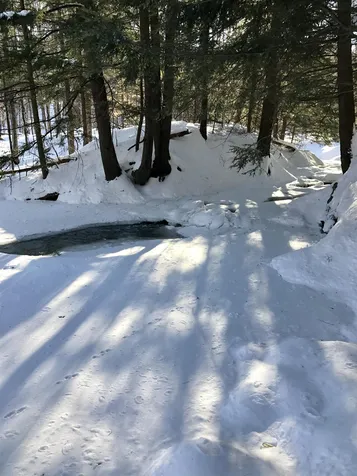105 Sugarbush Access Road Warren VT 05674