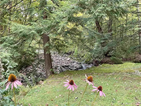 105 Sugarbush Access Road Warren VT 05674