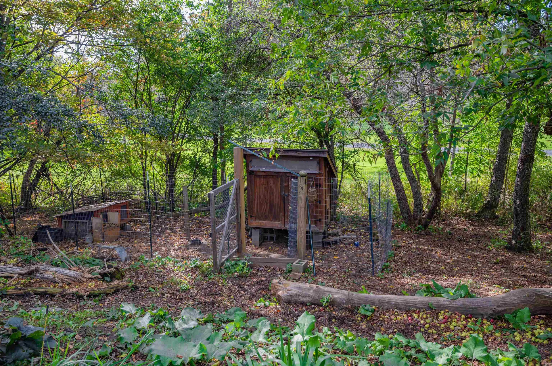 105 Hackamore Road Montpelier VT 05602