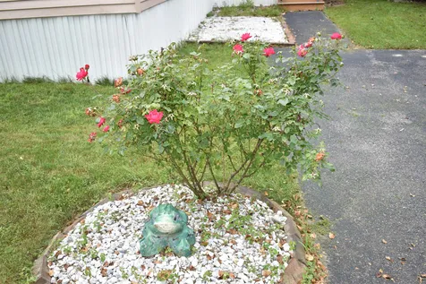 18 Chapparel Drive Londonderry NH 03053