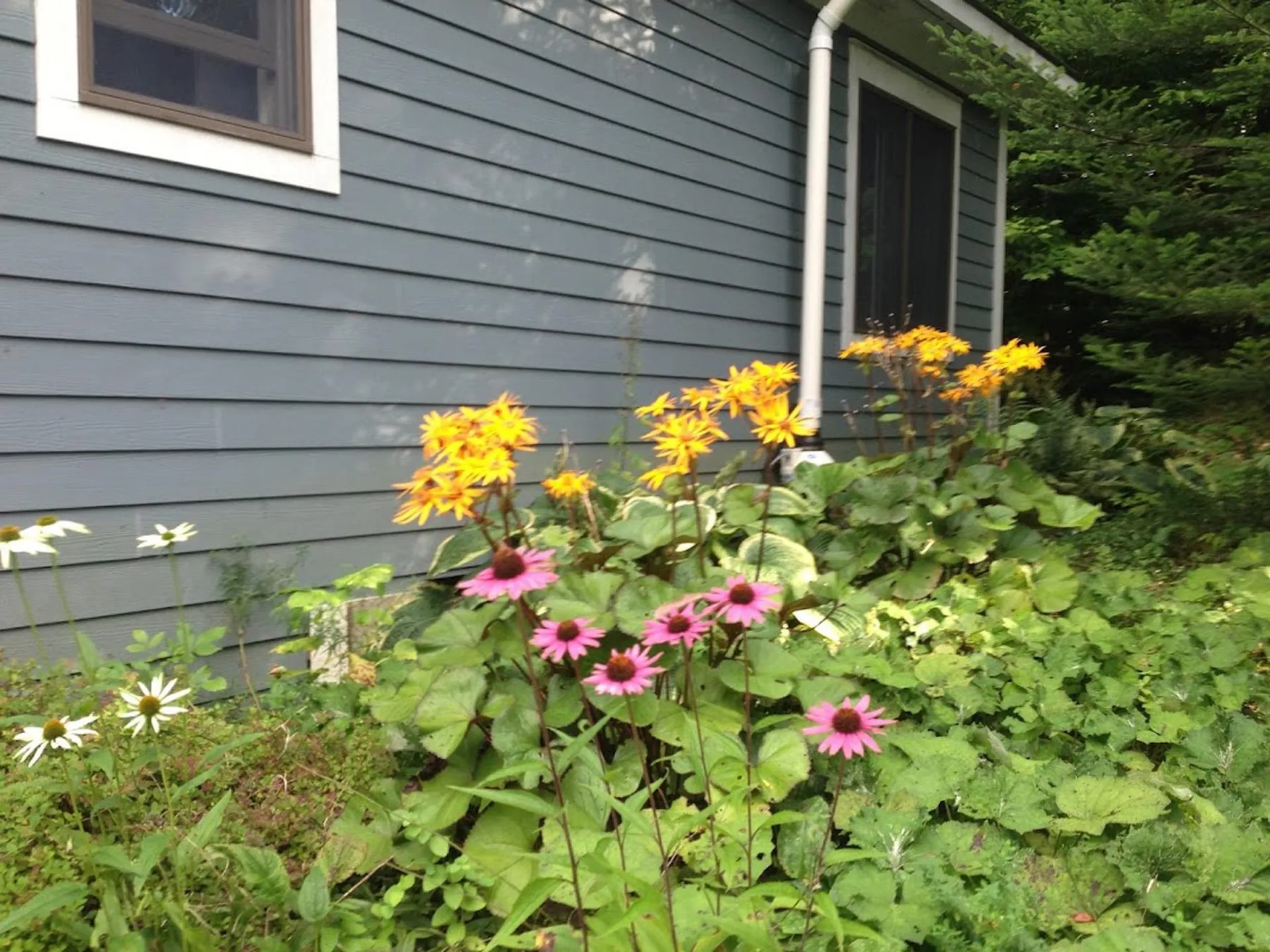 215 Pine Street Warren VT 05674