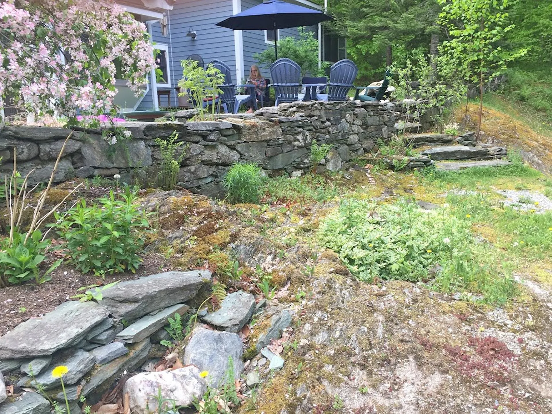 215 Pine Street Warren VT 05674